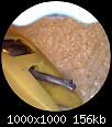 Klicke auf die Grafik fr eine grere Ansicht

Name:	1717856440833566.jpg
Hits:	290
Gre:	156,4 KB
ID:	74609